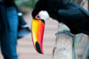 Toucano, Parque das Aves, Foz do Iguaçu