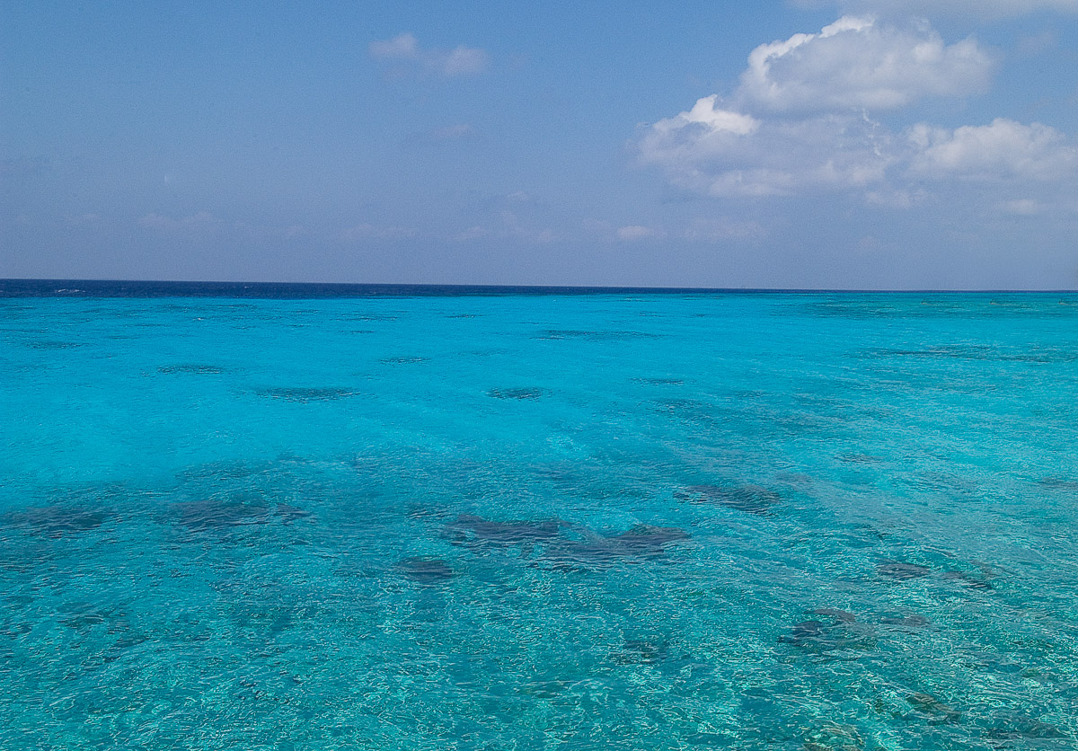 Bahía de Cochinos, 2005