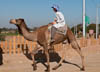 Oasis Dakhla
