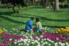 Gülhane Park