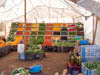 Boumalne Dadès, Souk