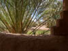 Ksar Elkhorbat, Musée et Auberge