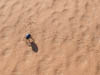 Erg Chebbi, Scarabée