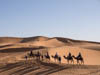 Erg Chebbi, Chameaux, Touristes