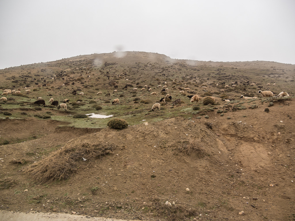 1er jour (Marrakech-Ouarzazate): Tizi-n-Tichka     Map