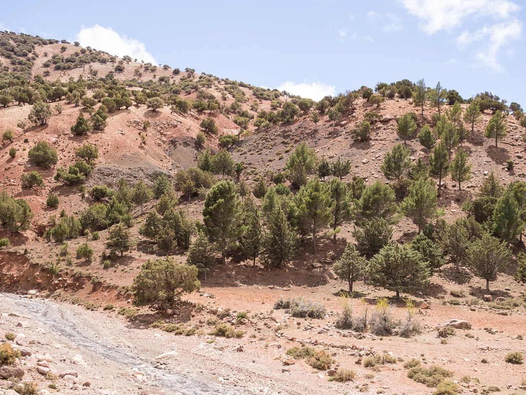 1er jour (Marrakech-Ouarzazate): Telouèt     Map