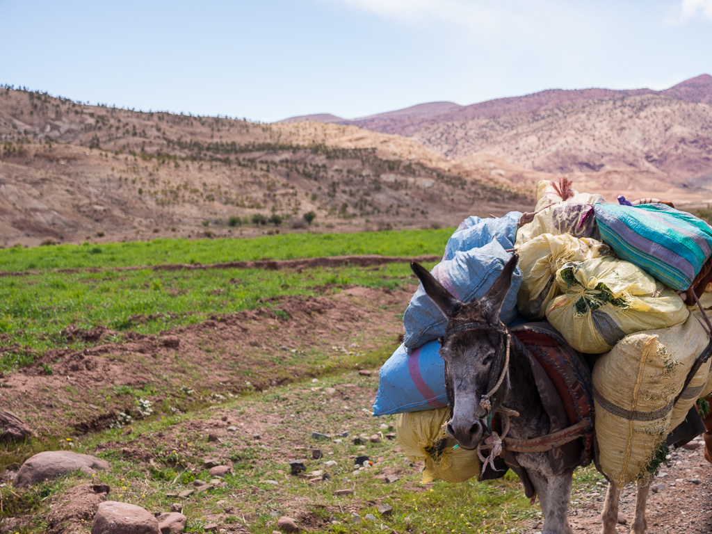 1er jour (Marrakech-Ouarzazate): Telouèt     Map