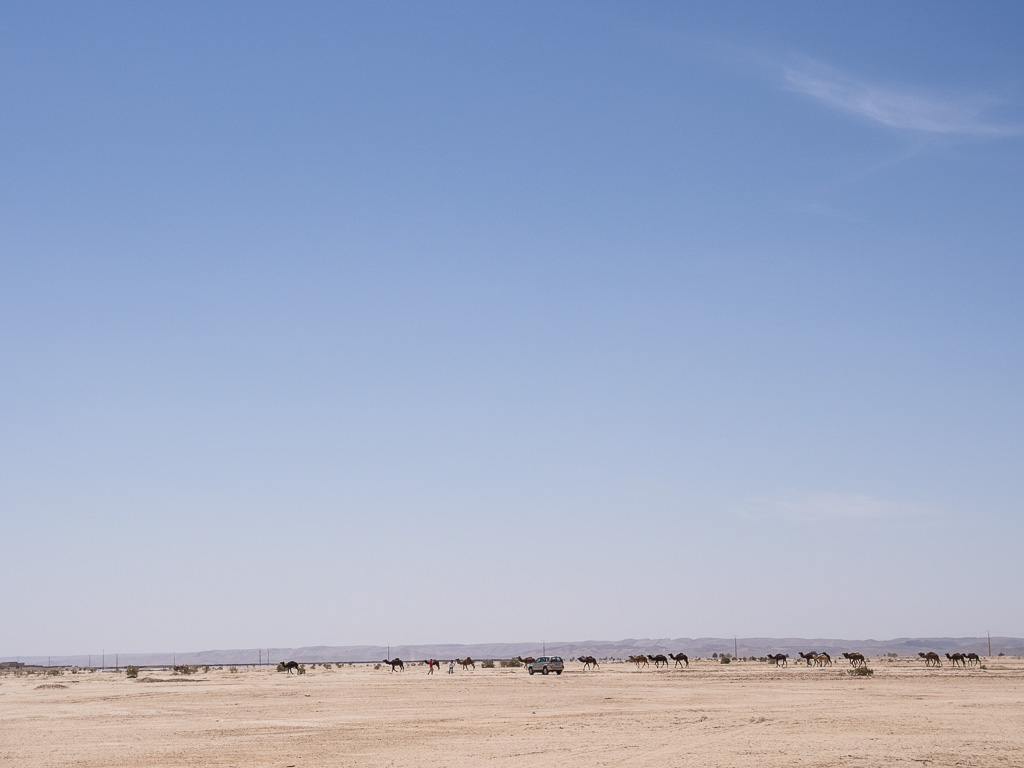 4e jour (Erfoud-Erg Chebbi): Erg Chebbi, Merzouga     Map