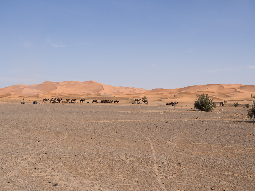 4e jour (Erfoud-Erg Chebbi): Erg Chebbi     Map