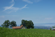 Birt, Bodensee