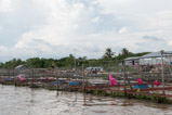 Mekong Delta