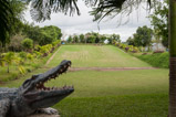 Mekong Delta