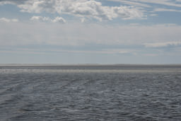 Camargue, Etang de Vaccarès