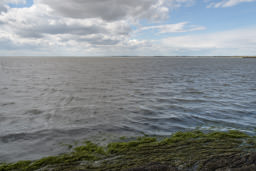 Camargue, Etang de Vaccarès