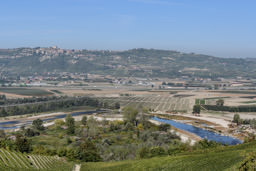 Barbaresco