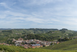 Barolo