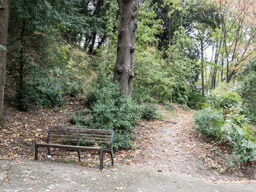 Chemin menant à Fourvière
