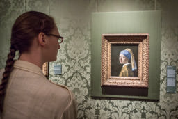 Mauritshuis, Den Haag