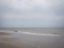 Bergen aan Zee