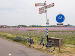 Egmond aan den Hoef